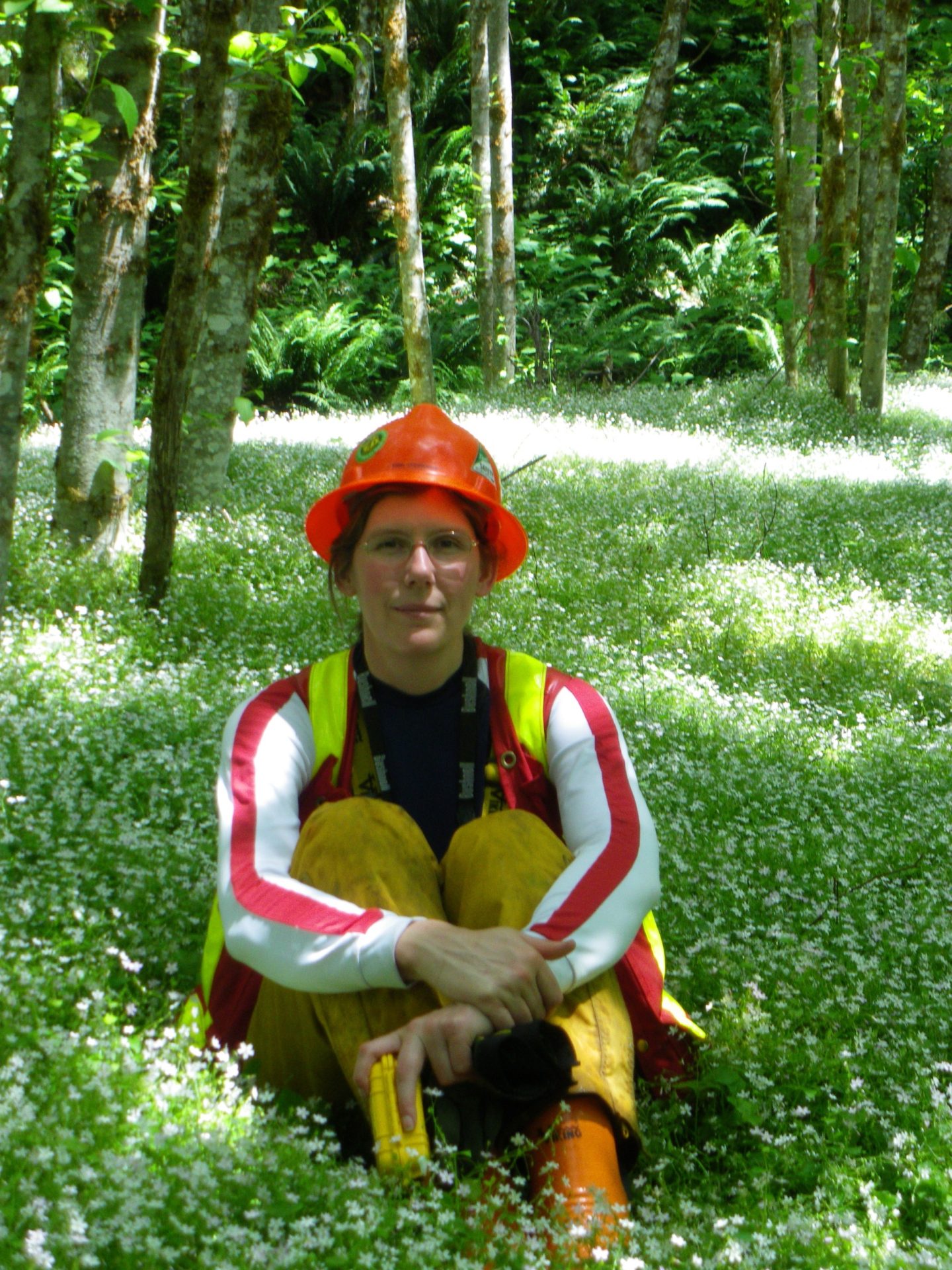 Archaeologist, Technical Team Lead